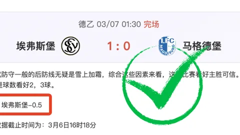 基迪本季收入835万，五年2.24亿合约今夏期满，同期四人已获顶薪待遇